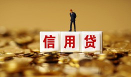 成都30哪有个人借贷-成都30小额贷款公司-成都30私借空放免费上门