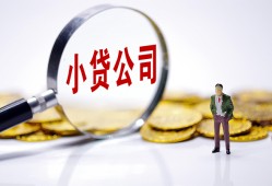 成都30民间大额借贷-成都30私借空放-成都30私人上门借贷
