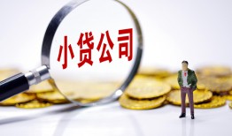 成都30民间大额借贷-成都30私借空放-成都30私人上门借贷