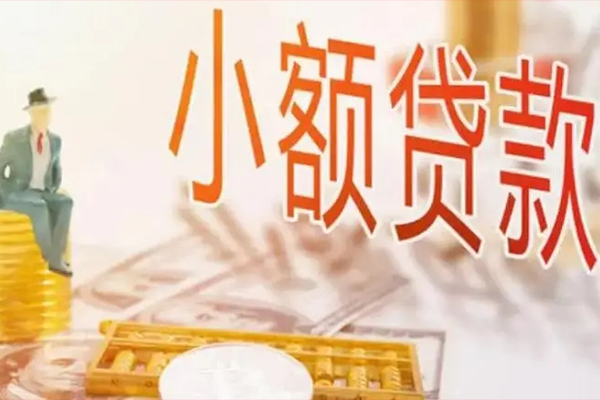 成都30私借空放短借